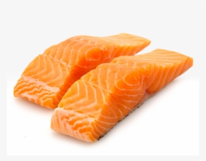 Arnarlax Dynamic Conditions High Vector Library Stock - North Atlantic Salmon Fillet