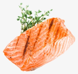 Stock Png For Free Download On Mbtskoudsalg - Salmon Grill Png