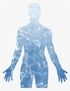 The Human Body Is Primarily Composed Of Water, With - Human Body Water Png