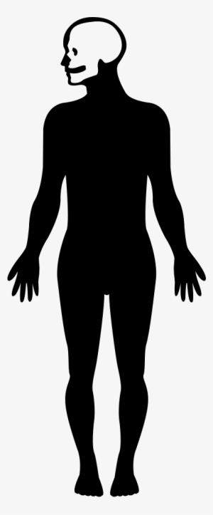 Human Body Silhouette With Focus On The Head Comments - Human Body Silhouette