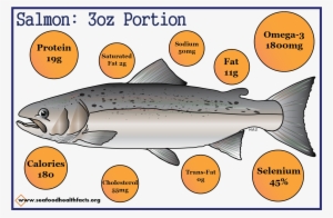 Salmon (png) - Trout