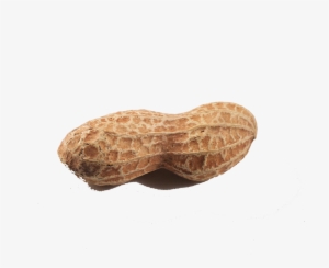 Transparent Peanut Background - Peanut Png
