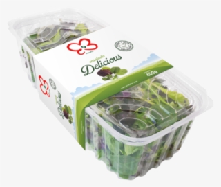 Baby Leaf Delicious Horeca Punnet 400g