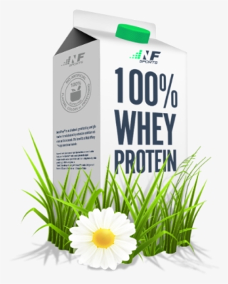 Whey Protein