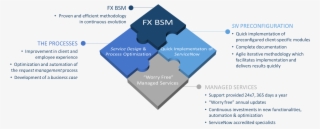 The Fx Bsm Model
