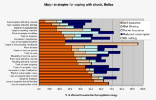 Coping Strategies Reported By Rural And Urban Households,