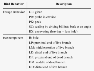 Behavioral Information Collected During Each Foraging