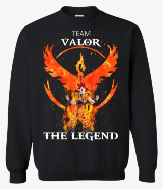 Team Valor Goku