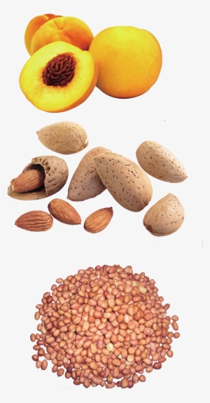 Peanut Yellow Peach Dried Fruit Snack Design Pattern - Peanut