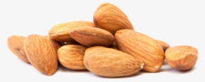 Almond Png Transparent Free Images - Almond Png
