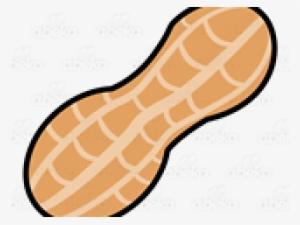 Peanut Huge Freebie Download For Powerpoint - Nut Clip Art