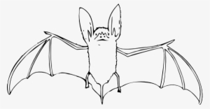Bat Black White Art Elish Halloween 555px - Bat Clip Art