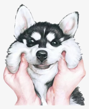 Tumblr Dog Cachorro Anime Cute - Fondo De Pantalla De Husky