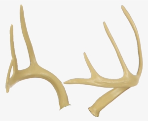 Deer Antlers Antler Transparent Png 600x600 Free Download On Nicepng - roblox white antlers