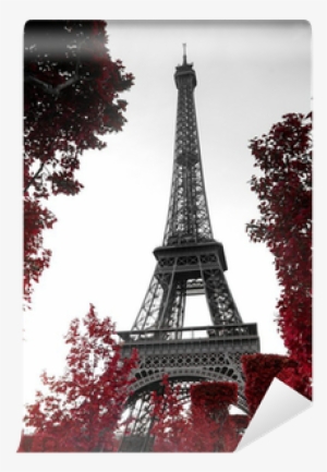 Infrared Photography Eiffel Tower Wall Mural • Pixers®