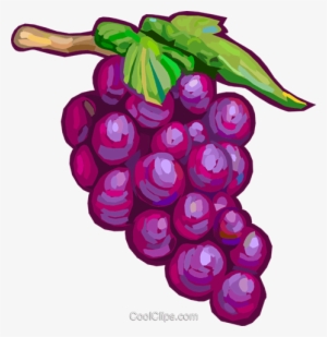 Red Grapes Royalty Free Vector Clip Art Illustration - Rote Trauben Clipart