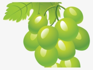 Grape Clipart Grapevine - Green Grapes Clipart Png