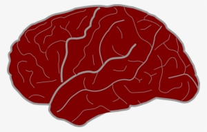 How To Set Use Red Brain Clipart