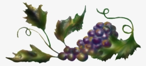 Top Grapes Sidebar - Wine