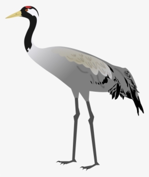 Png Free Stock Birds Svg Crane - Sandhill Crane Transparent Clipart