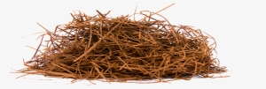 Pine Straw Png - Lapacho