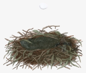 Dove Cottage - Nest