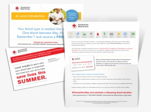 Red Cross Past Direct Mailer - Web Page