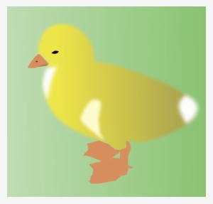 Duck Drawing Yellow Chicken Cartoon - Drawing Transparent PNG - 783x750 -  Free Download on NicePNG