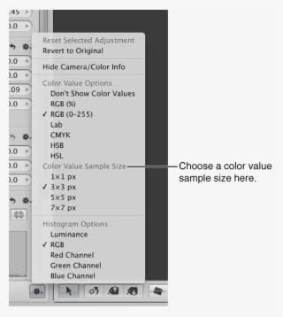 Adjustment Action Pop-up Menu Showing Color Value Sample