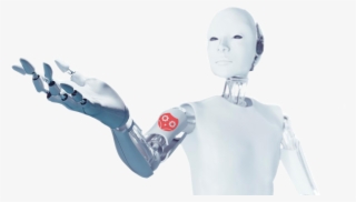 Robots