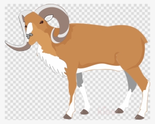 Kambing Kartun Png Clipart Goat Sheep