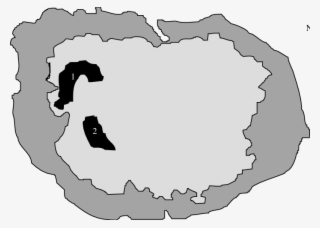 Photointerpreted Map Of Atol Das Rocas