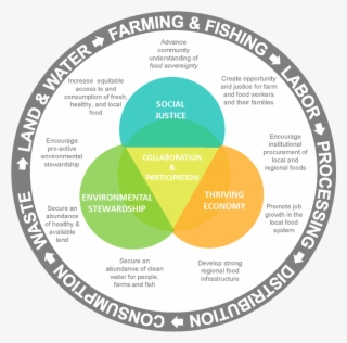 Key Themes