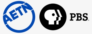 Pbs, An Affiliation Of Local Stations Around The Nation,