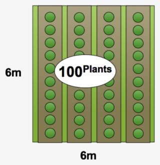 Rows
