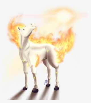 Ponyta Used Morning Sun By Drjhordan