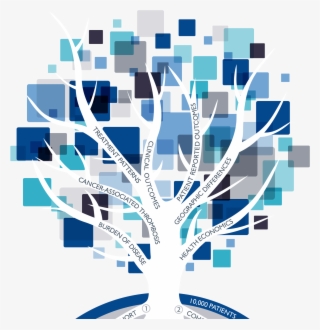 Explore The Tree