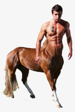 This Png File Is About Buff , Centaurs