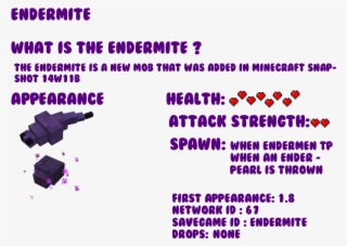 Endermite [review] [pop Reel]