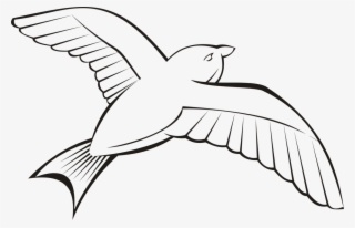 Kisscc0 Bird Beak Flight Wing Penguin In 6 Outline