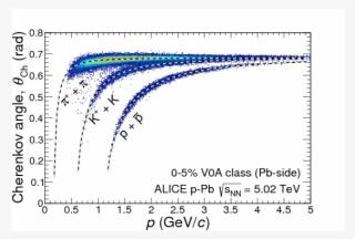 Show More Plots