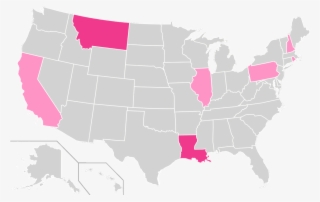 Ron Paul Ballot Access Locator Map, 2008