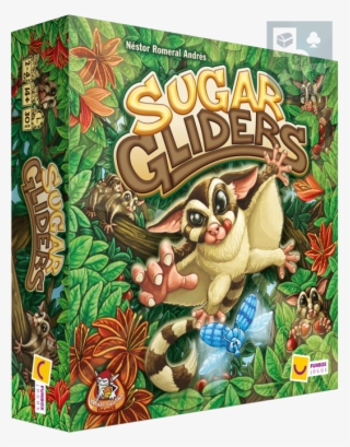 Sugar Glider Png