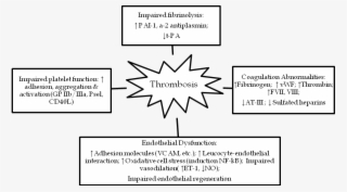 Figure 1 -