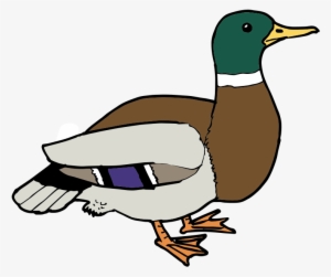 Free Clipart - Free Clip Art Duck