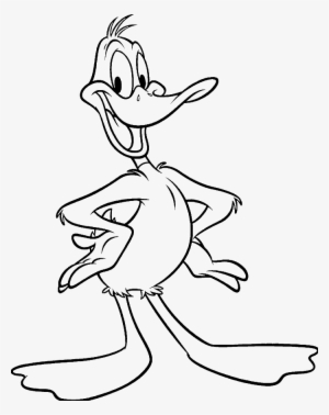 Drawing Gangster Daffy Duck - Daffy Duck Looney Tunes Coloring Pages  Transparent PNG - 700x882 - Free Download on NicePNG