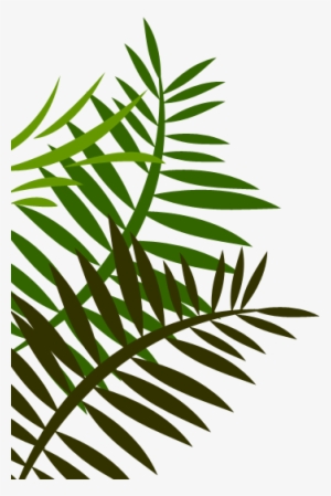 Jungle Leaves Png Image Library - Fern Leaf Shower Curtain