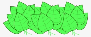 Cartoon Jungle Leaves Transparent