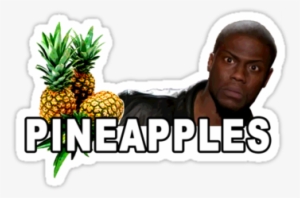 Kevin Hart Funny Pineapples Quotes Download Kevin Hart - Kevin Hart Pineapples
