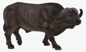 Buffalo Transparent African Clip Art Black And White - Cape Buffalo